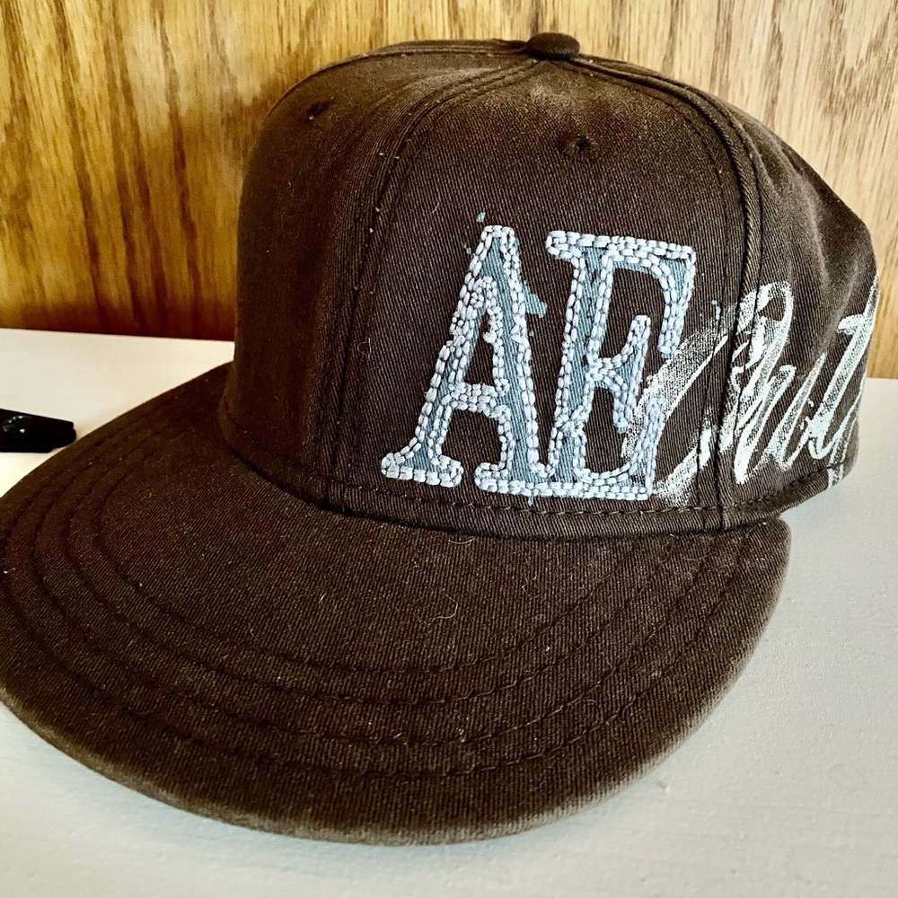 American Eagle Outfitters brown fitted hat
